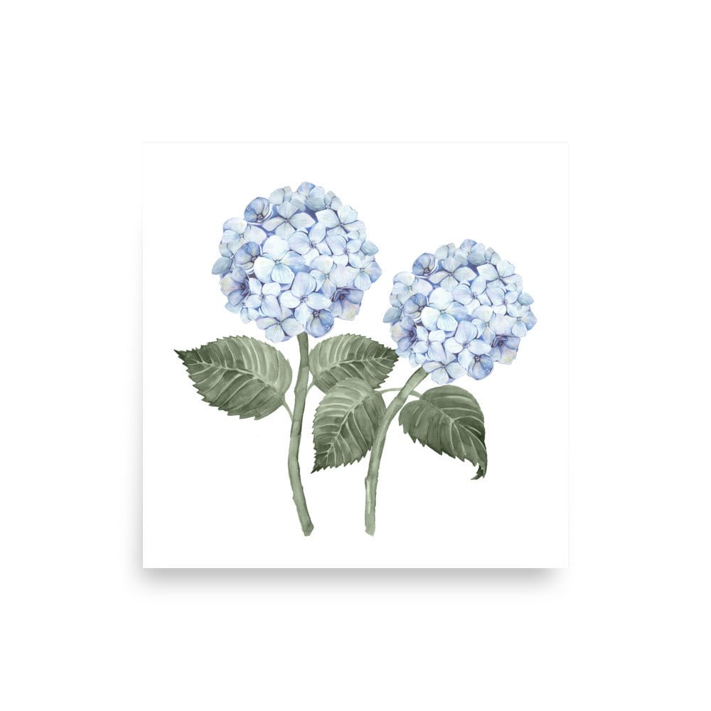 Hydrangea Bloom Blue Double Art Print - Hydrangea Lane Home