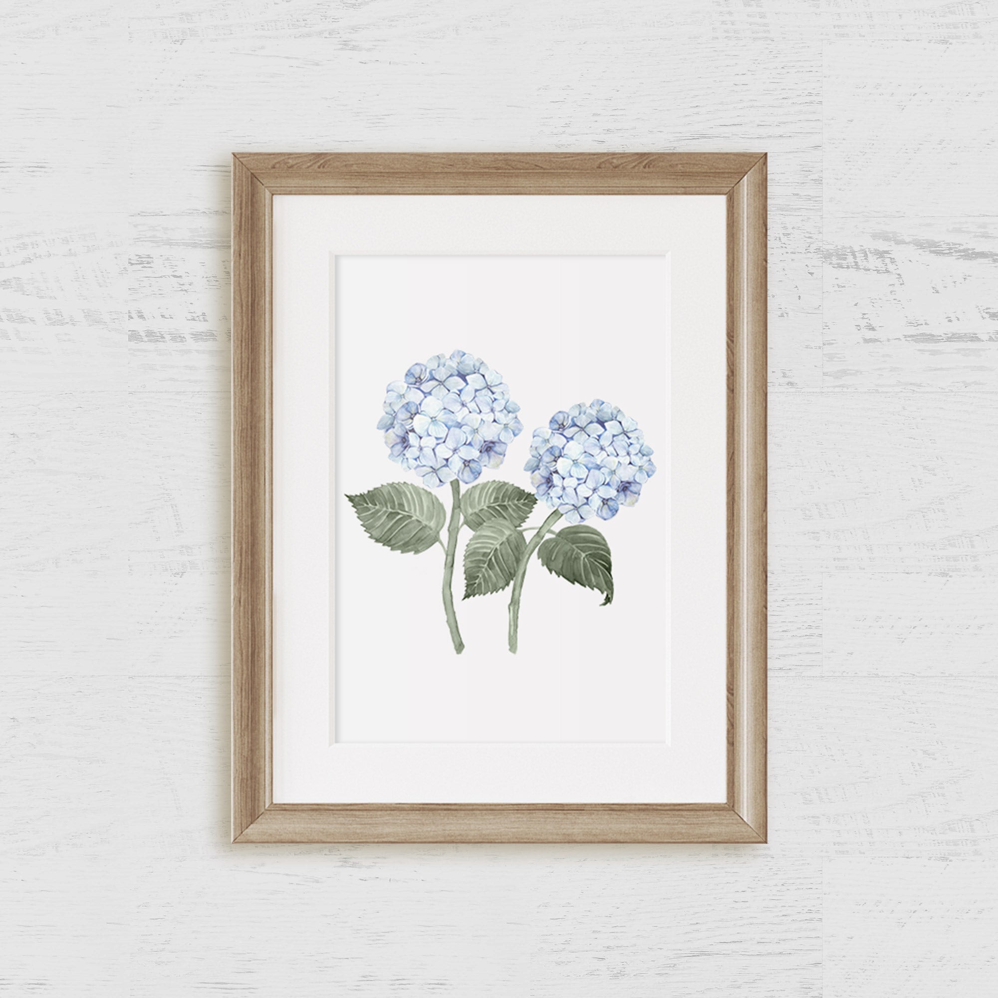 Hydrangea Bloom Blue Double Art Print - Hydrangea Lane Home