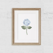 Hydrangea Bloom Blue Single Art Print - Hydrangea Lane Home