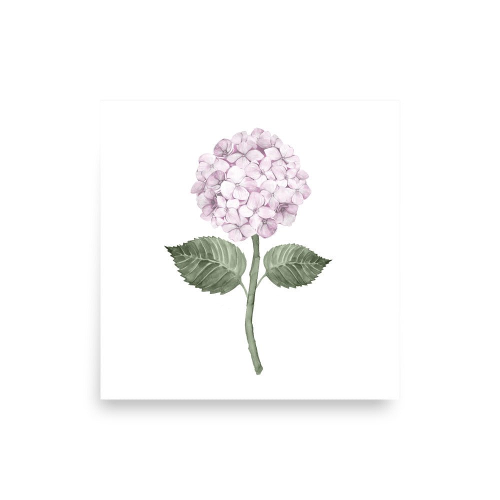 Hydrangea Bloom Pink Single Art Print - Hydrangea Lane Home