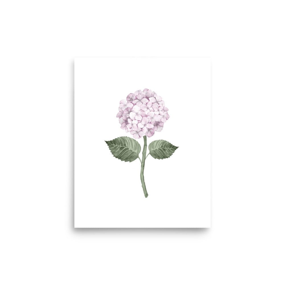 Hydrangea Bloom Pink Single Art Print - Hydrangea Lane Home