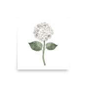 Hydrangea Bloom White Single Art Print - Hydrangea Lane Home