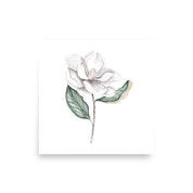 Magnolia Bloom Botanical Art Print 1 - Hydrangea Lane Home