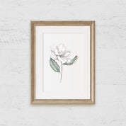 Magnolia Bloom Art Print 1 - Hydrangea Lane Home