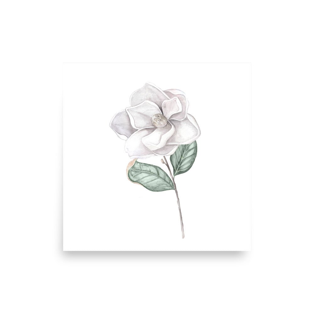 Magnolia Bloom Art Print 2 - Hydrangea Lane Home