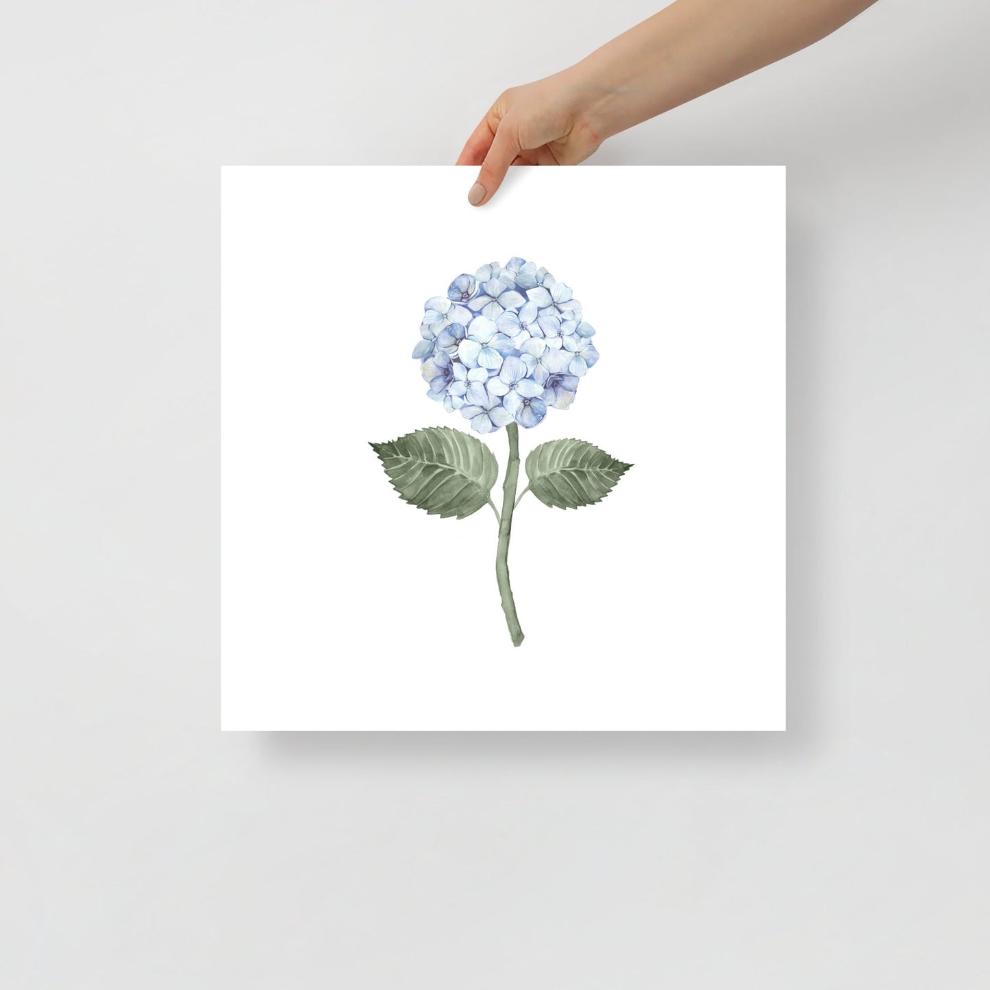 Blue Hydrangea Stem Single Watercolour Art Print - Hydrangea Lane Home