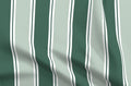 Grande Stripe Fabric - Eau de Nil - Leaf Green - Hydrangea Lane Home
