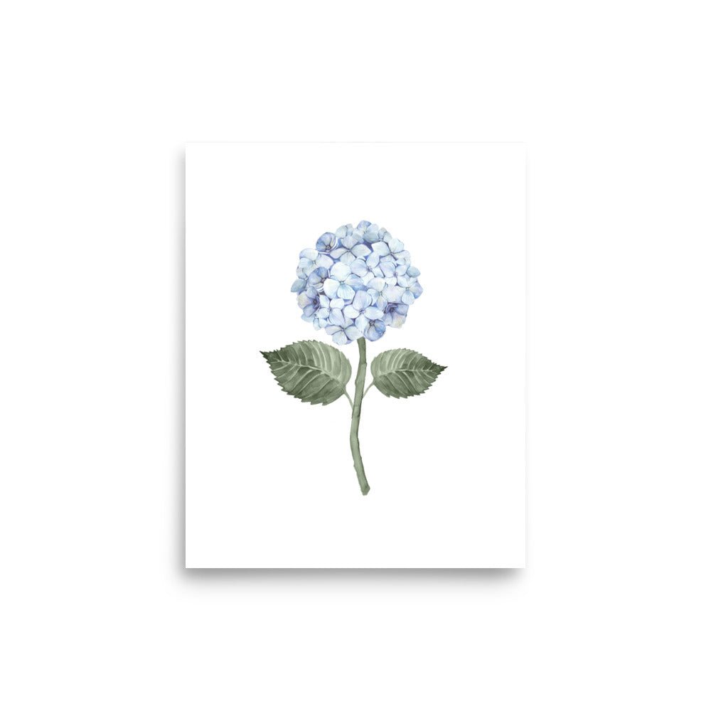 Hydrangea Bloom Blue Single Art Print - Hydrangea Lane Home