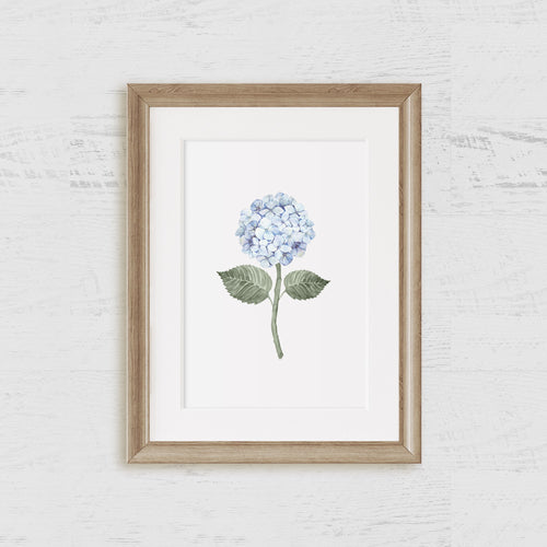 Hydrangea Bloom Blue Single Art Print - Hydrangea Lane Home