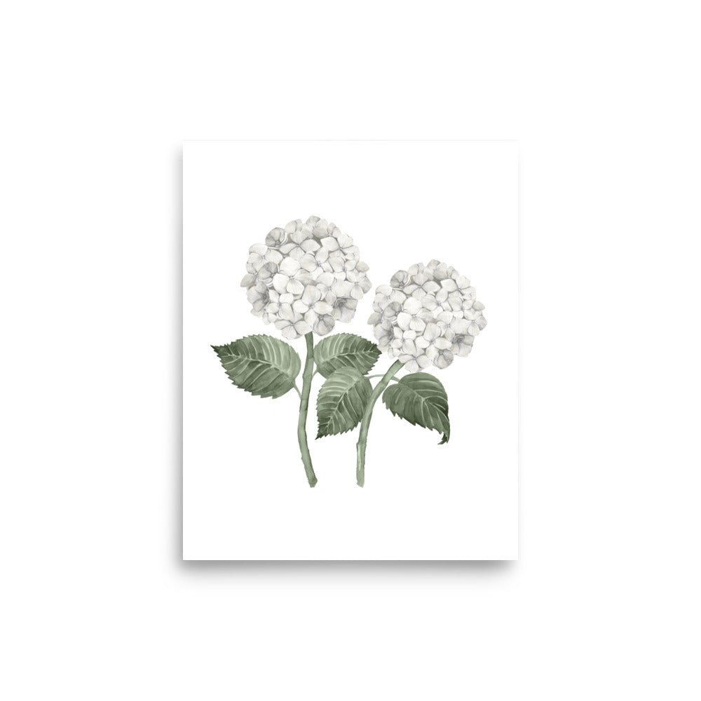 Hydrangea Bloom White Double Art Print - Hydrangea Lane Home