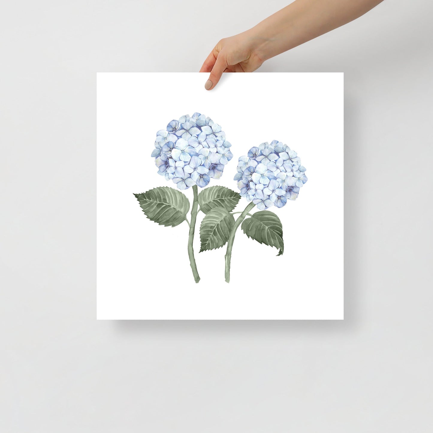 Hydrangea Stems Double Watercolour Art Print - Hydrangea Lane Home