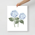 Hydrangea Stems Double Watercolour Art Print - Hydrangea Lane Home