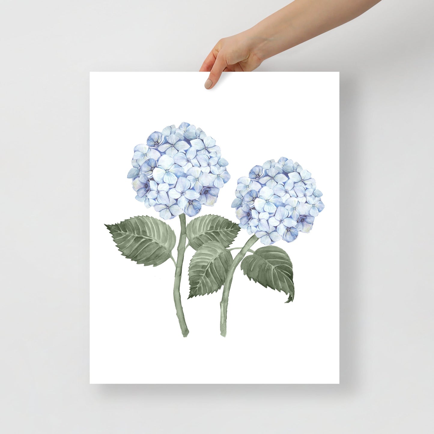 Hydrangea Stems Double Watercolour Art Print - Hydrangea Lane Home