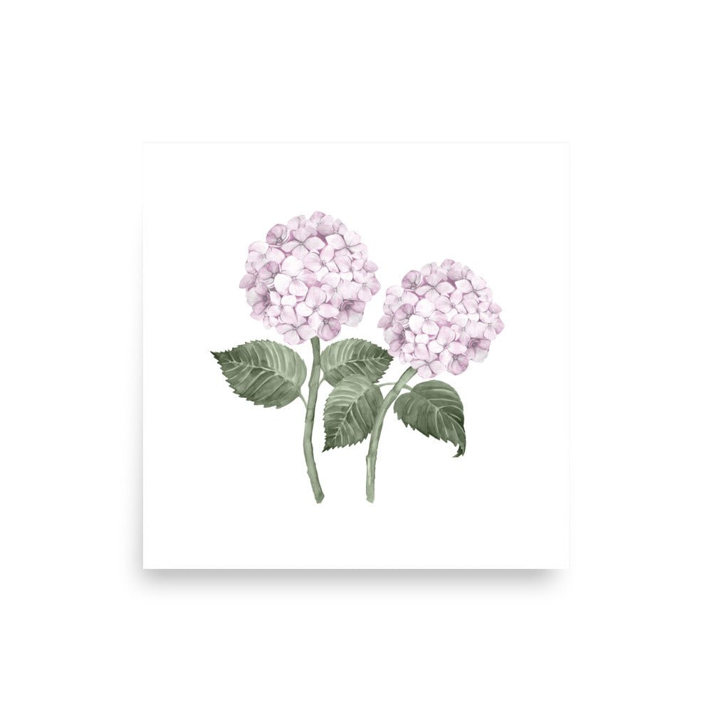 Pink Hydrangea Double Bloom Watercolour Art Print - Hydrangea Lane Home