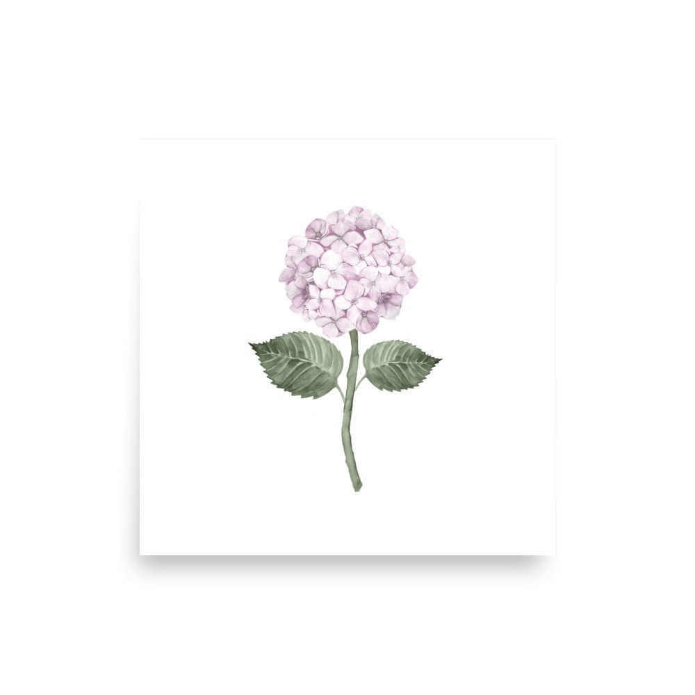 Pink Hydrangea Single Bloom Watercolour Art Print - Hydrangea Lane Home