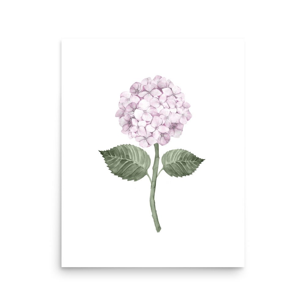 Pink Hydrangea Single Bloom Watercolour Art Print - Hydrangea Lane Home