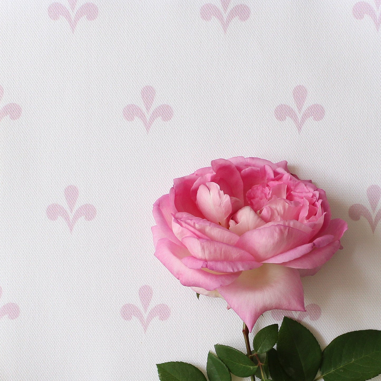 Amalfi Swish Fabric - Peony - Hydrangea Lane Home