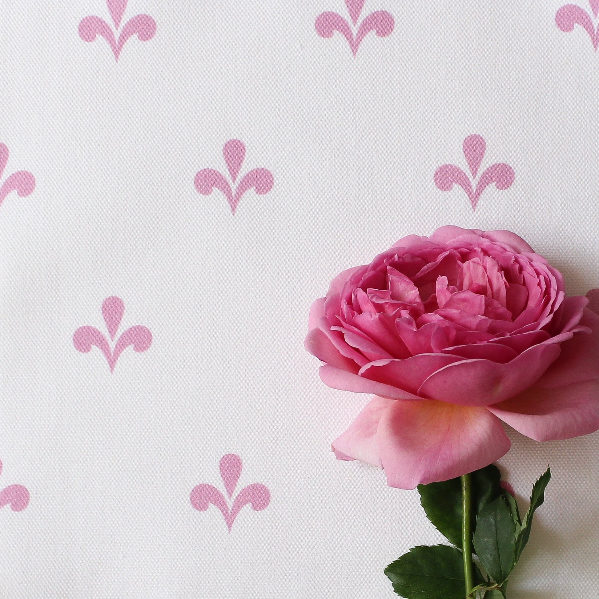 Amalfi Swish Fabric - Tickled Pink - Hydrangea Lane Home