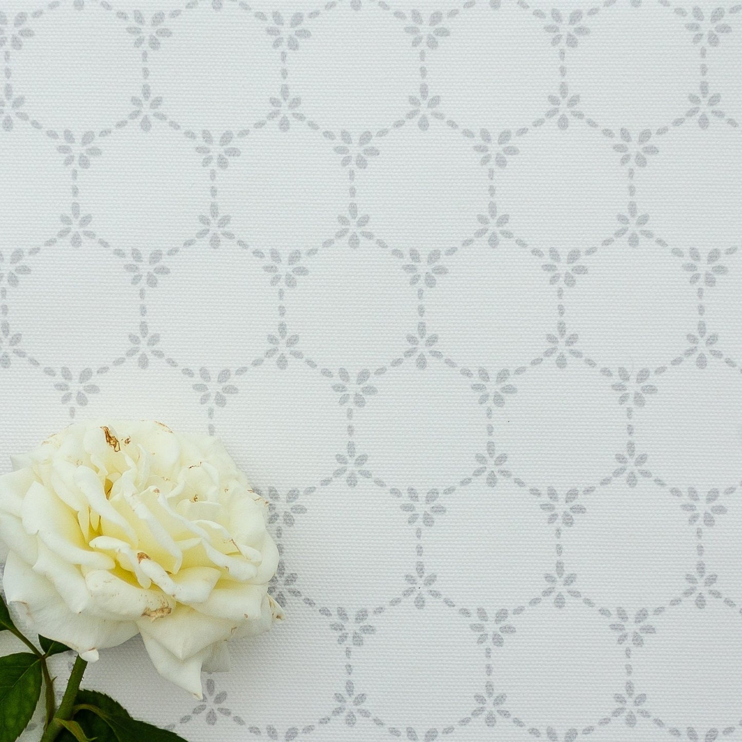 Daisy Chain Fabric - Dove - Hydrangea Lane Home