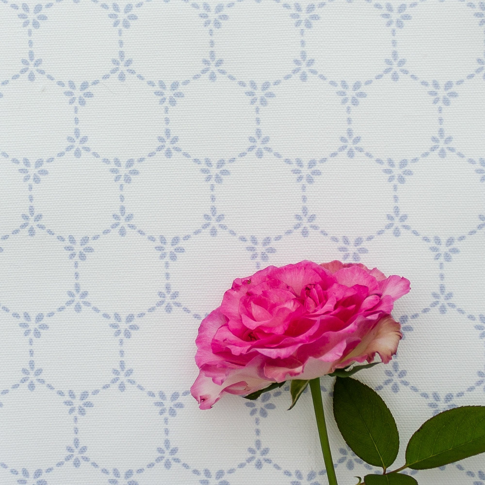 Daisy Chain Fabric - Serenity - Hydrangea Lane Home