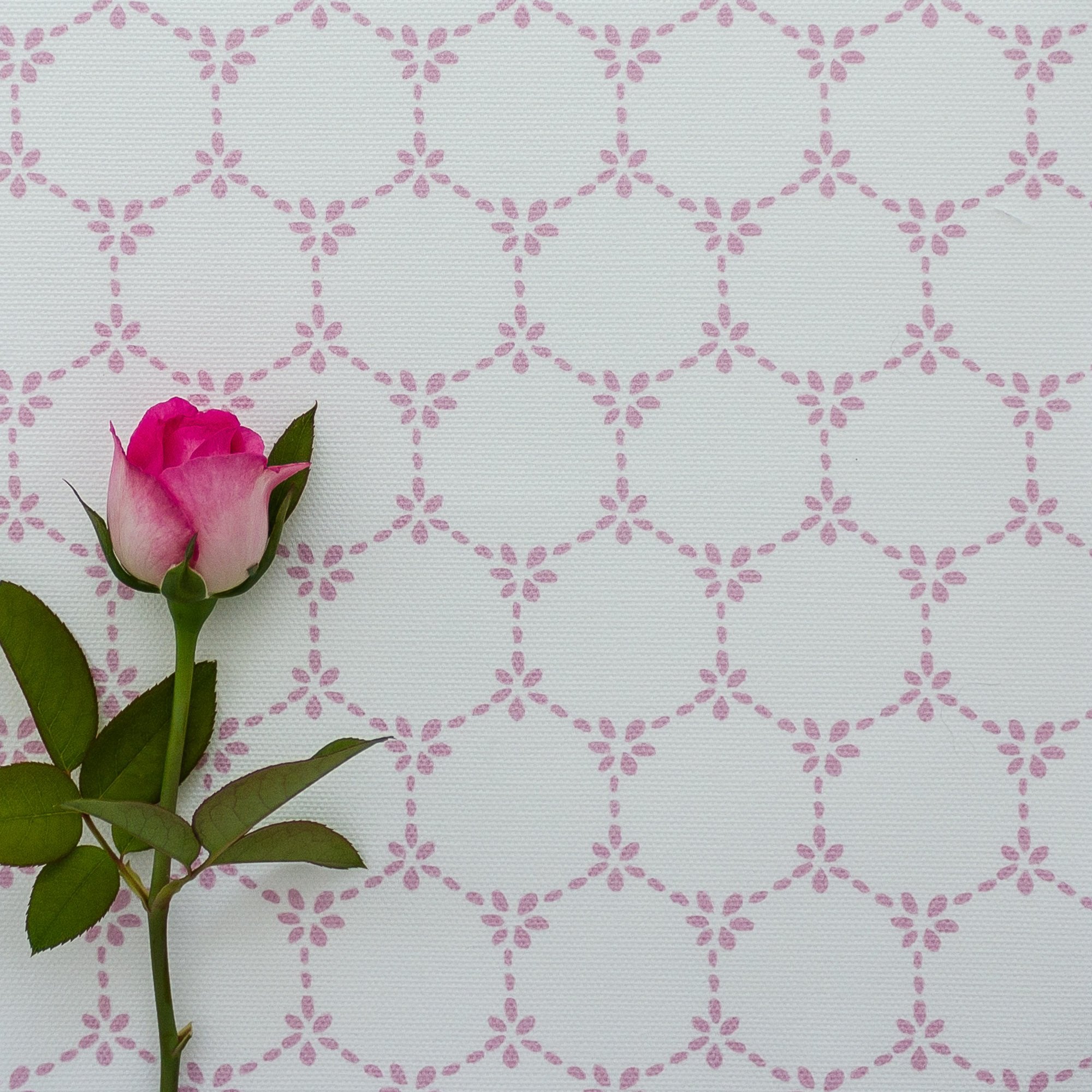 Daisy Chain Fabric - Tickled Pink - Hydrangea Lane Home
