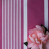 Deckchair Stripe Fabric - Raspberry - Hydrangea Lane Home