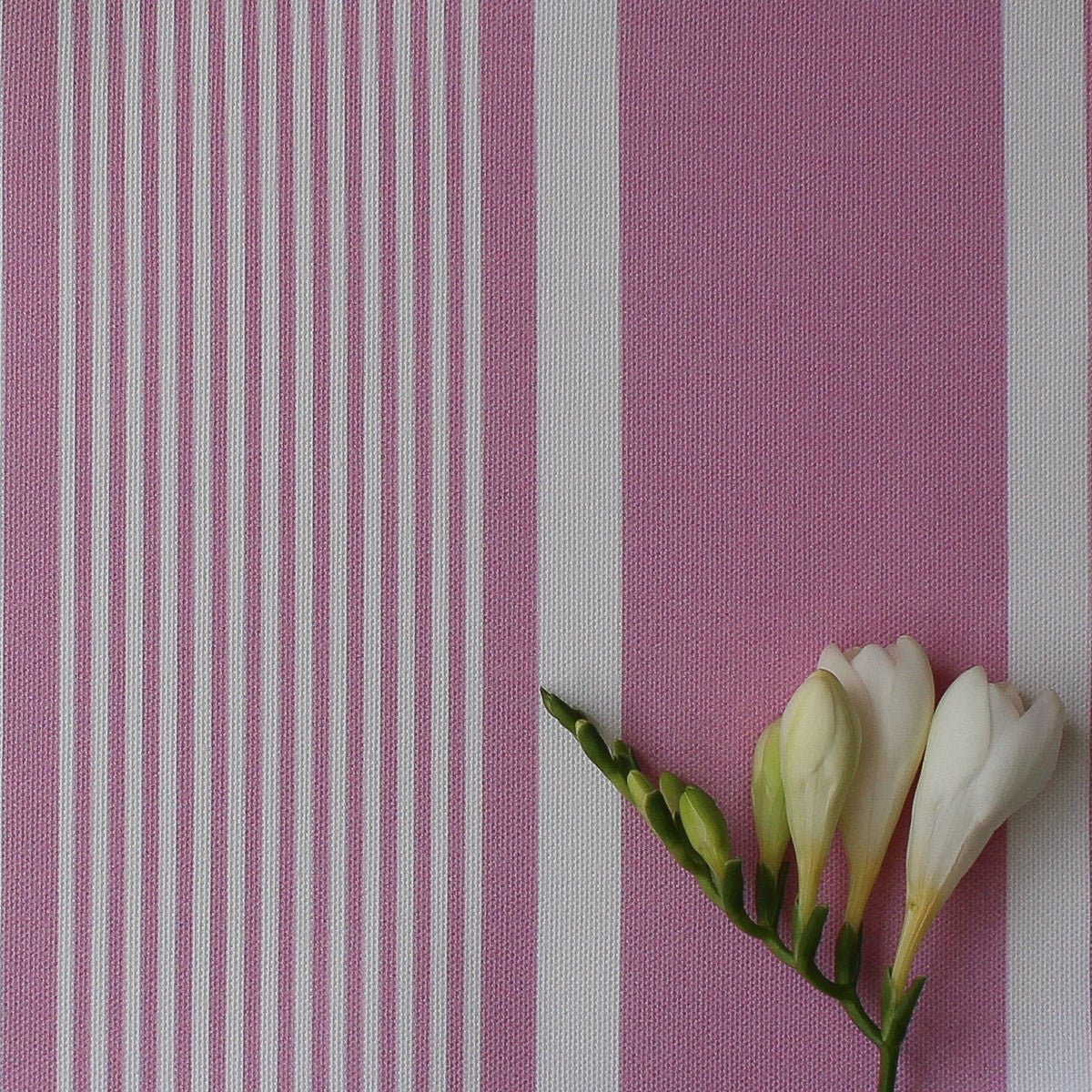 Deckchair Stripe Fabric - Tickled Pink - Hydrangea Lane Home