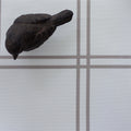 Double Window Pane Check Fabric - Chateaux - Hydrangea Lane Home