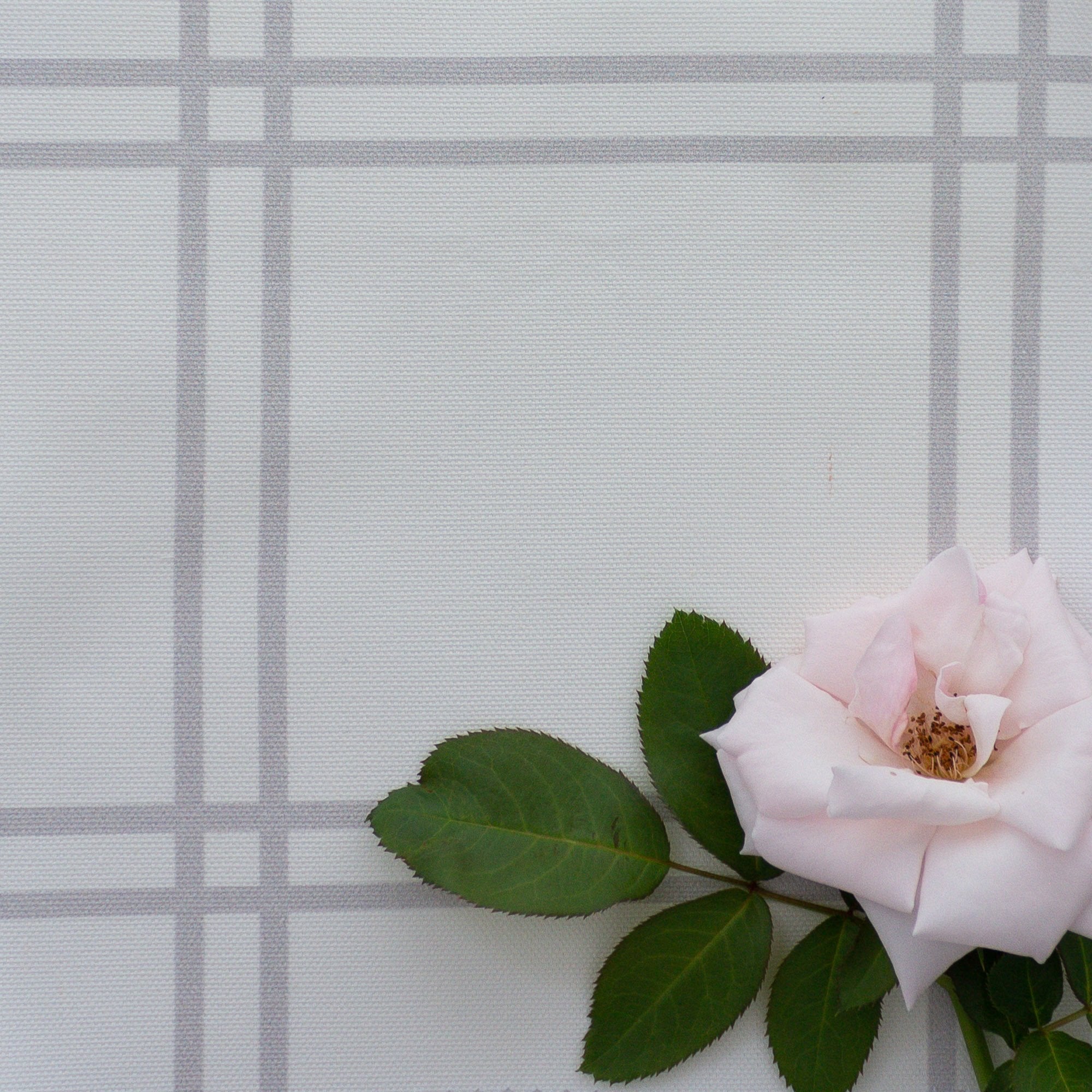 Double Window Pane Check Fabric - Dove - Hydrangea Lane Home
