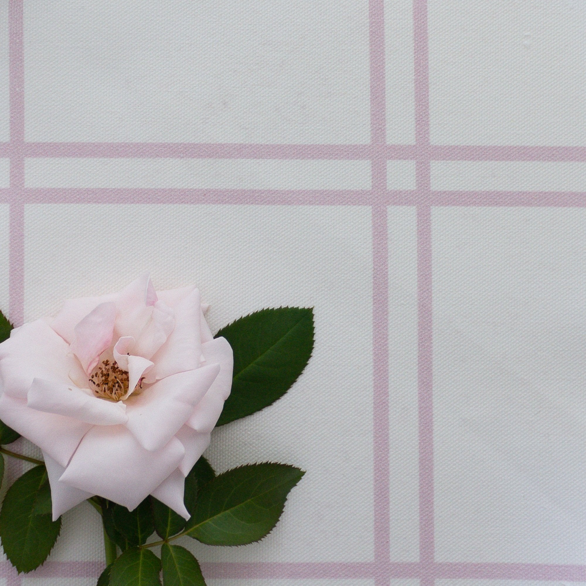 Pane Check Double Window Pane Check Fabric - Peony – Hydrangea Lane Home