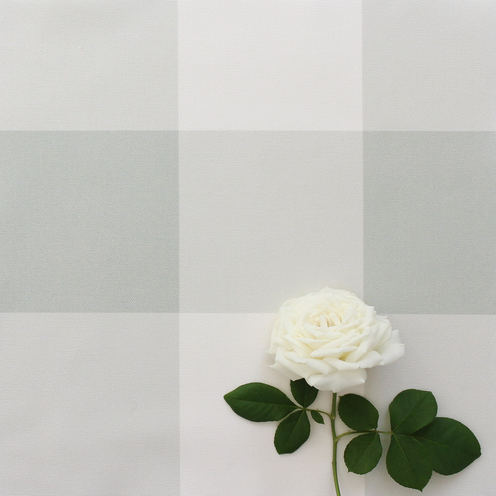 Gingham Check Jumbo Fabric - Eau De Nil - Hydrangea Lane Home