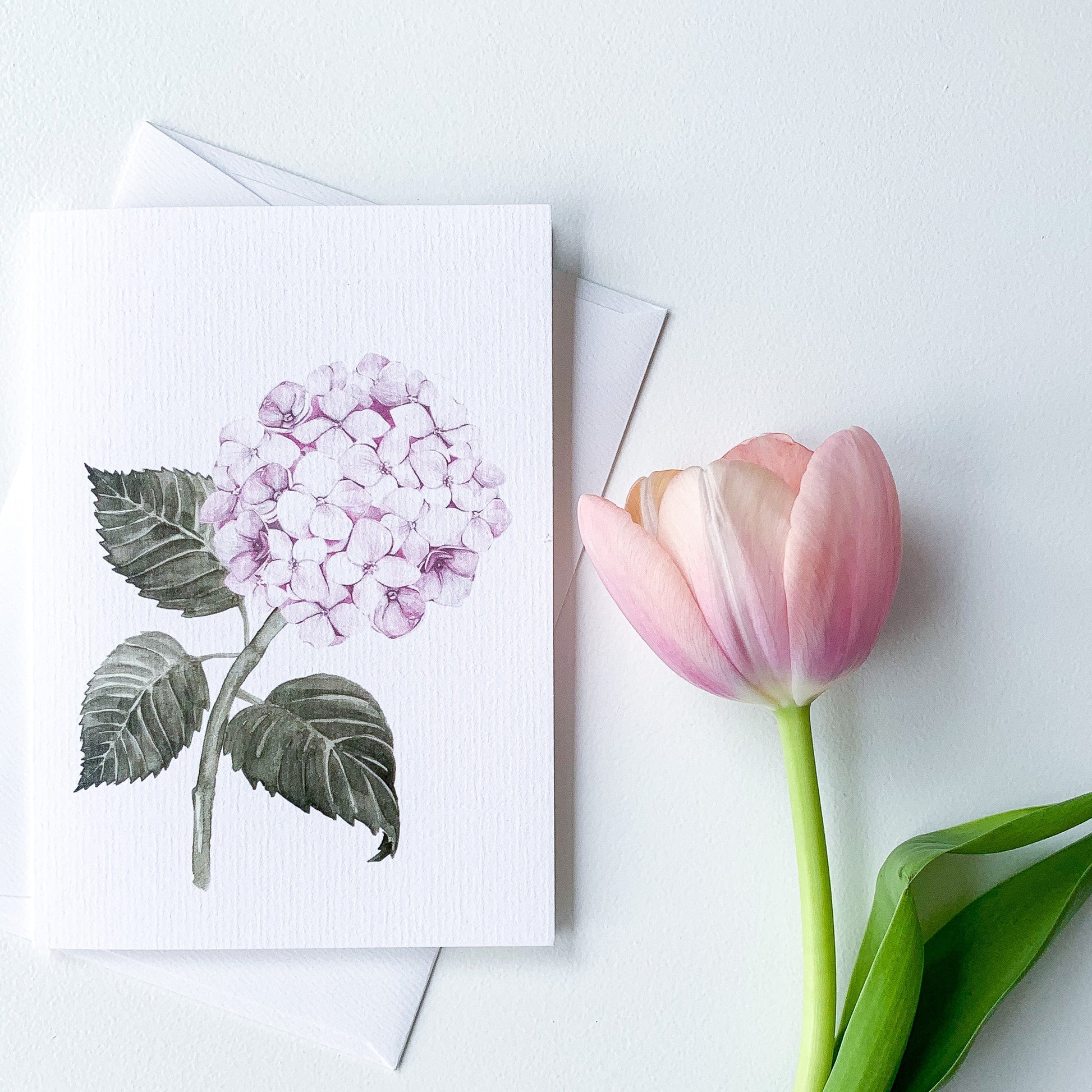 Hydrangea Pink Greeting Card - Hydrangea Lane Home