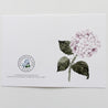 Hydrangea Pink Greeting Card - Hydrangea Lane Home