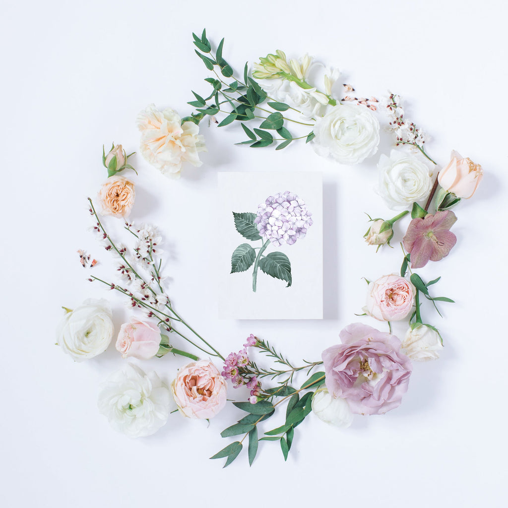 Hydrangea Pink Greeting Card - Hydrangea Lane Home