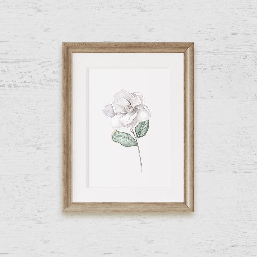 Magnolia Bloom Art Print 2 - Hydrangea Lane Home