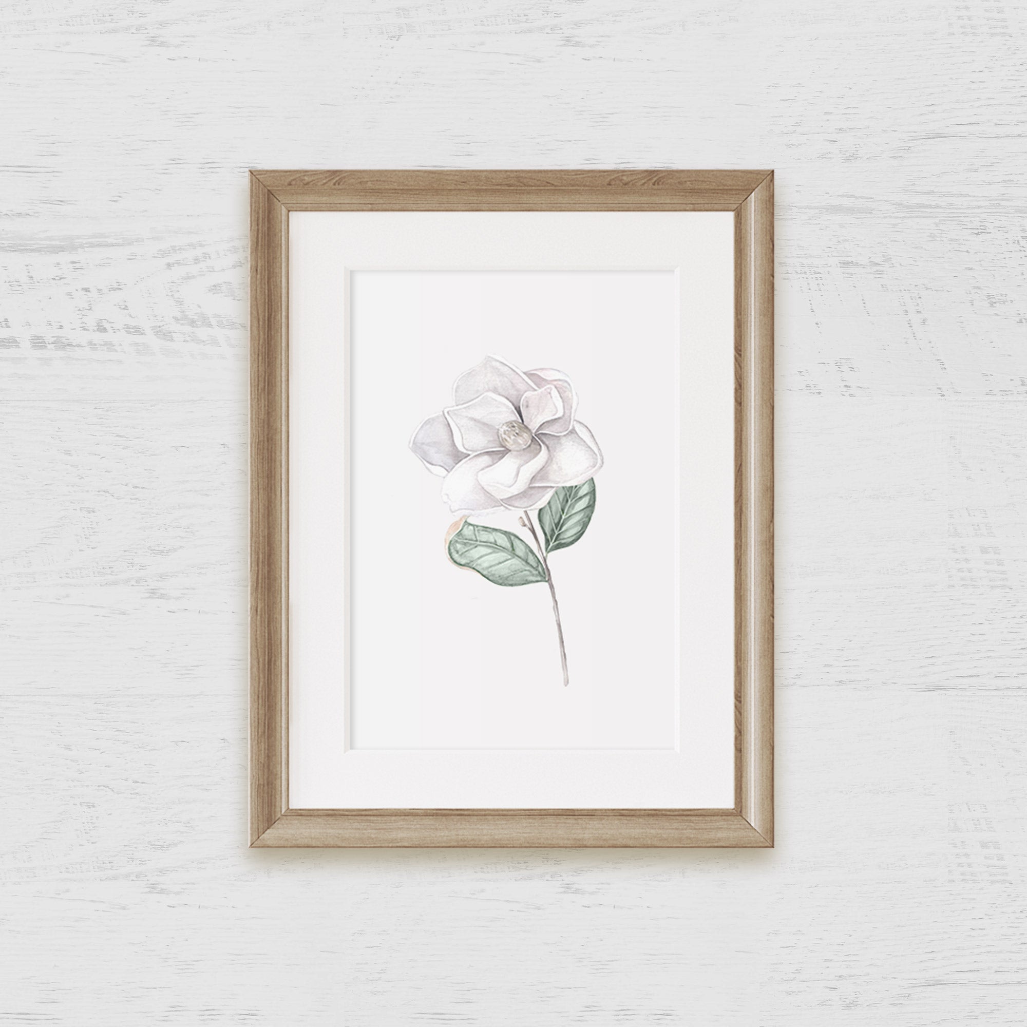 Magnolia Bloom Art Print 2 - Hydrangea Lane Home