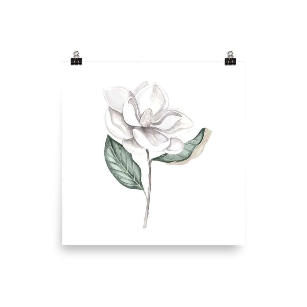 Magnolia Bloom Art Print - Hydrangea Lane Home