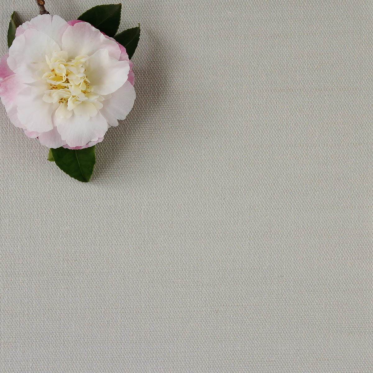 Perfectly Plain Fabric - Dove - Hydrangea Lane Home