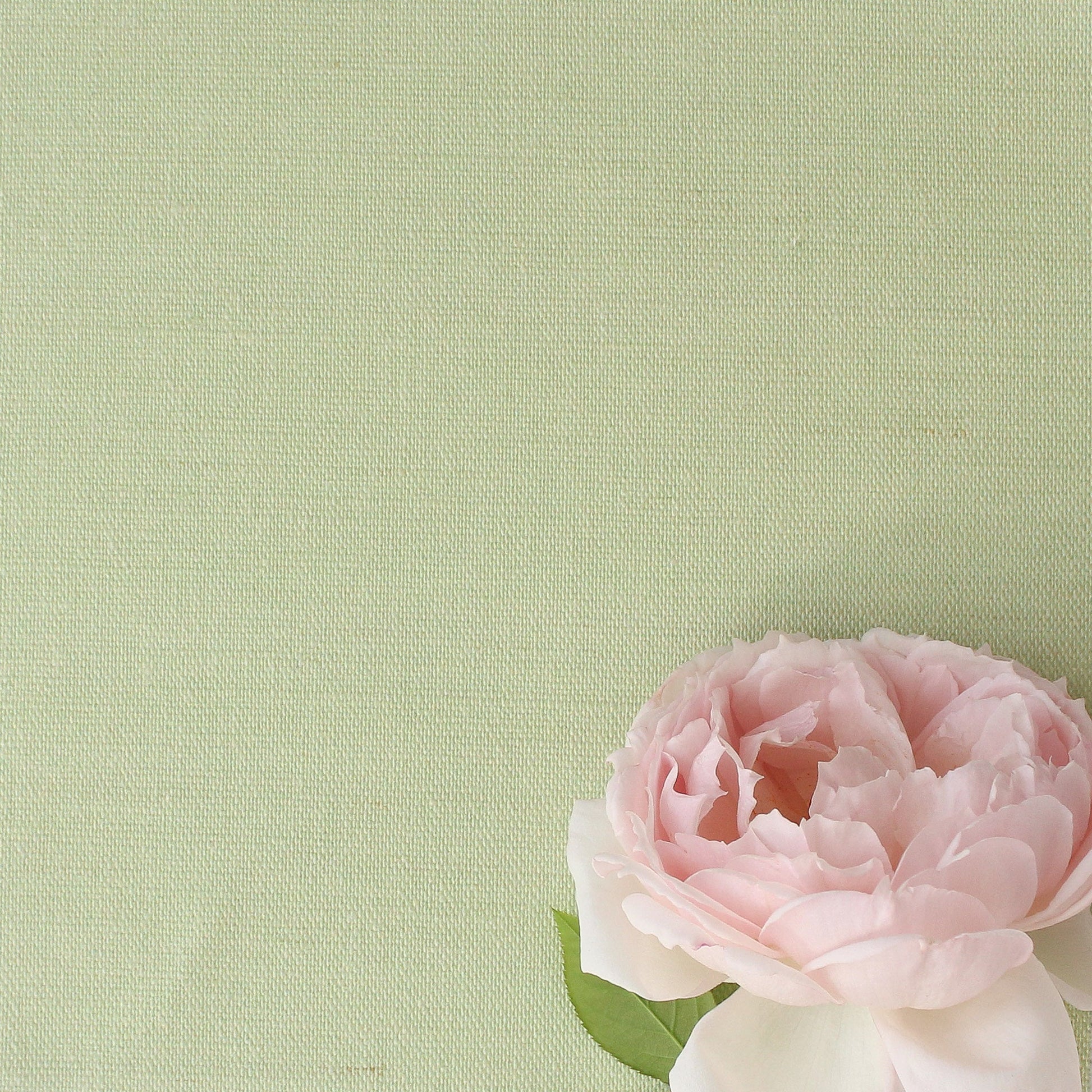 Perfectly Plain Fabric - Elderflower - Hydrangea Lane Home