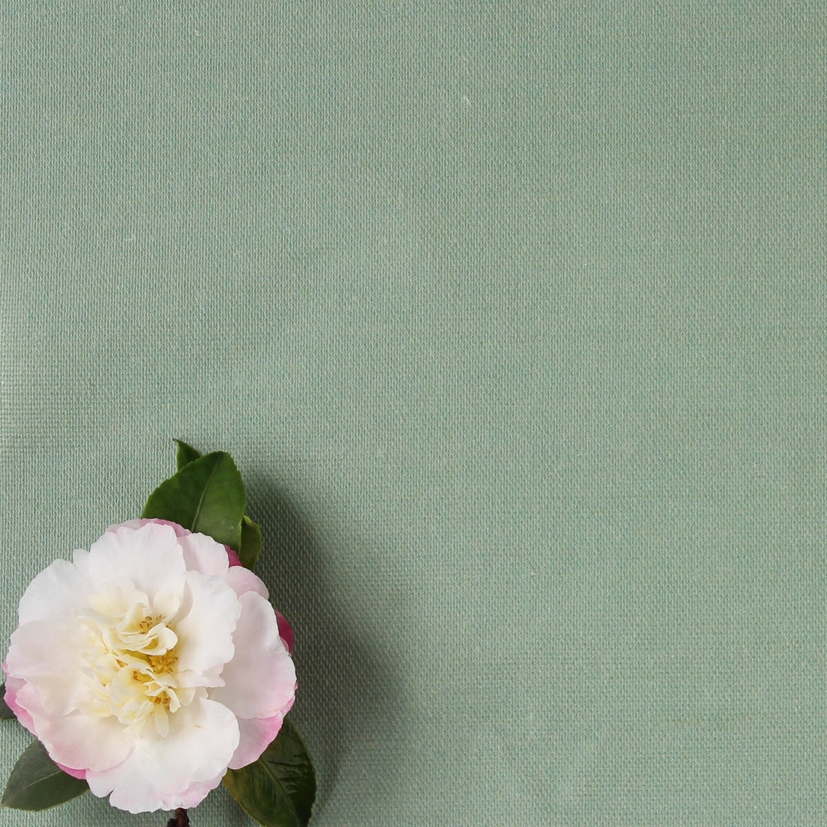 Perfectly Plain Fabric - Eucalyptus - Hydrangea Lane Home