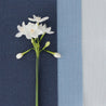 Perfectly Plain Fabric - Navy - Hydrangea Lane Home
