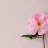 Perfectly Plain Fabric - Peony - Hydrangea Lane Home