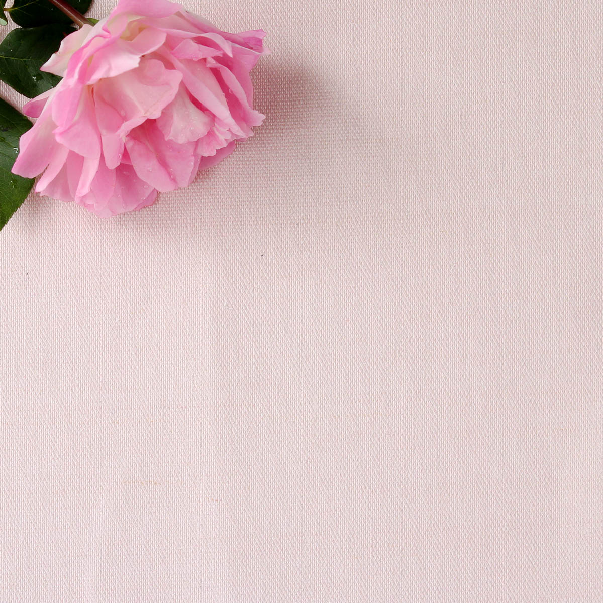 Perfectly Plain Fabric - Peony - Hydrangea Lane Home