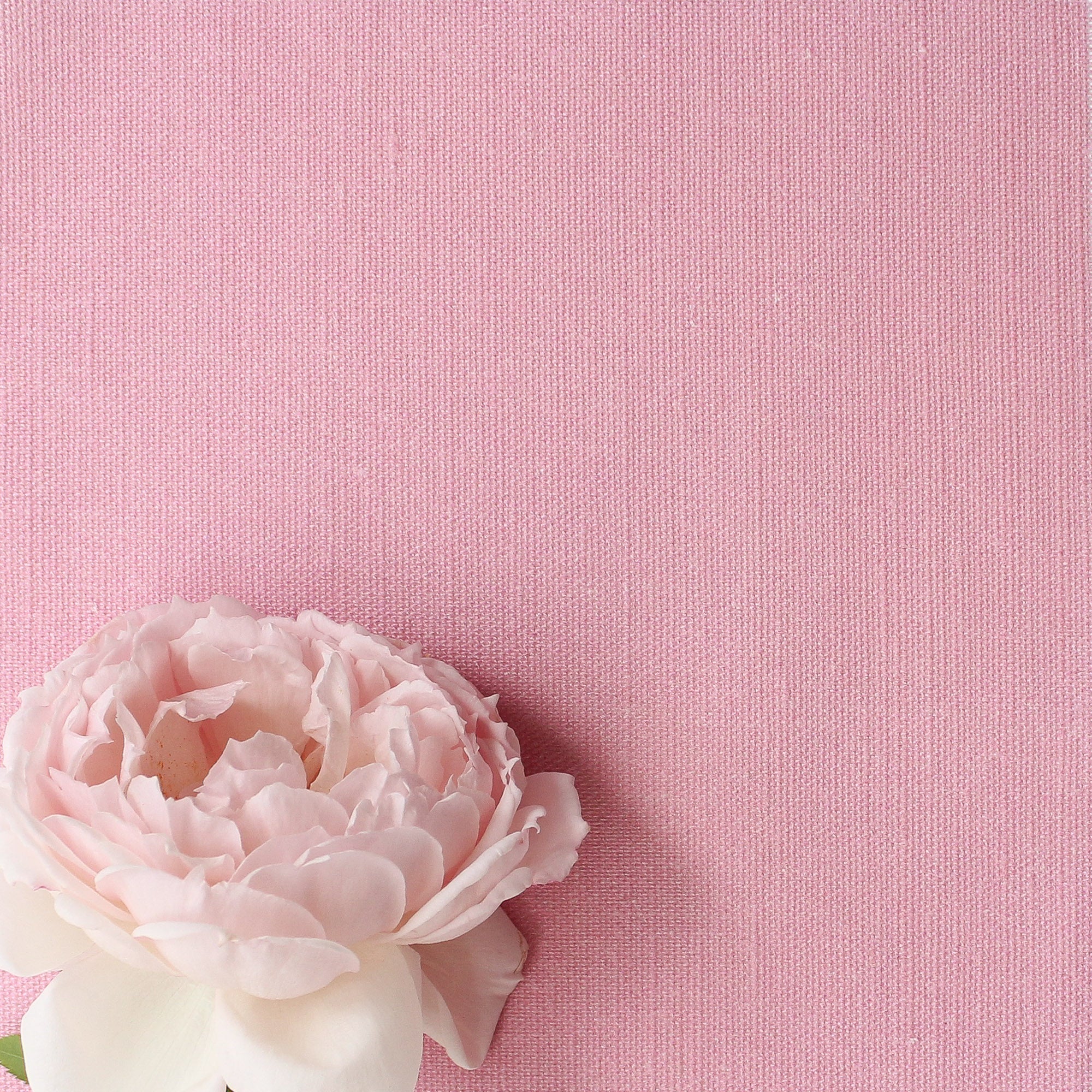Perfectly Plain Fabric - Tickled Pink - Hydrangea Lane Home
