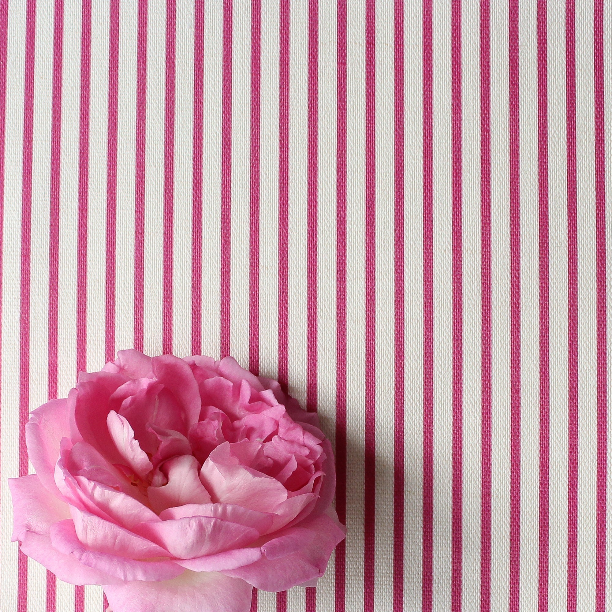 Petite Stripe Fabric - Raspberry - Hydrangea Lane Home