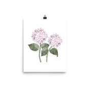 Pink Double Hydrangea Art Print - Hydrangea Lane Home