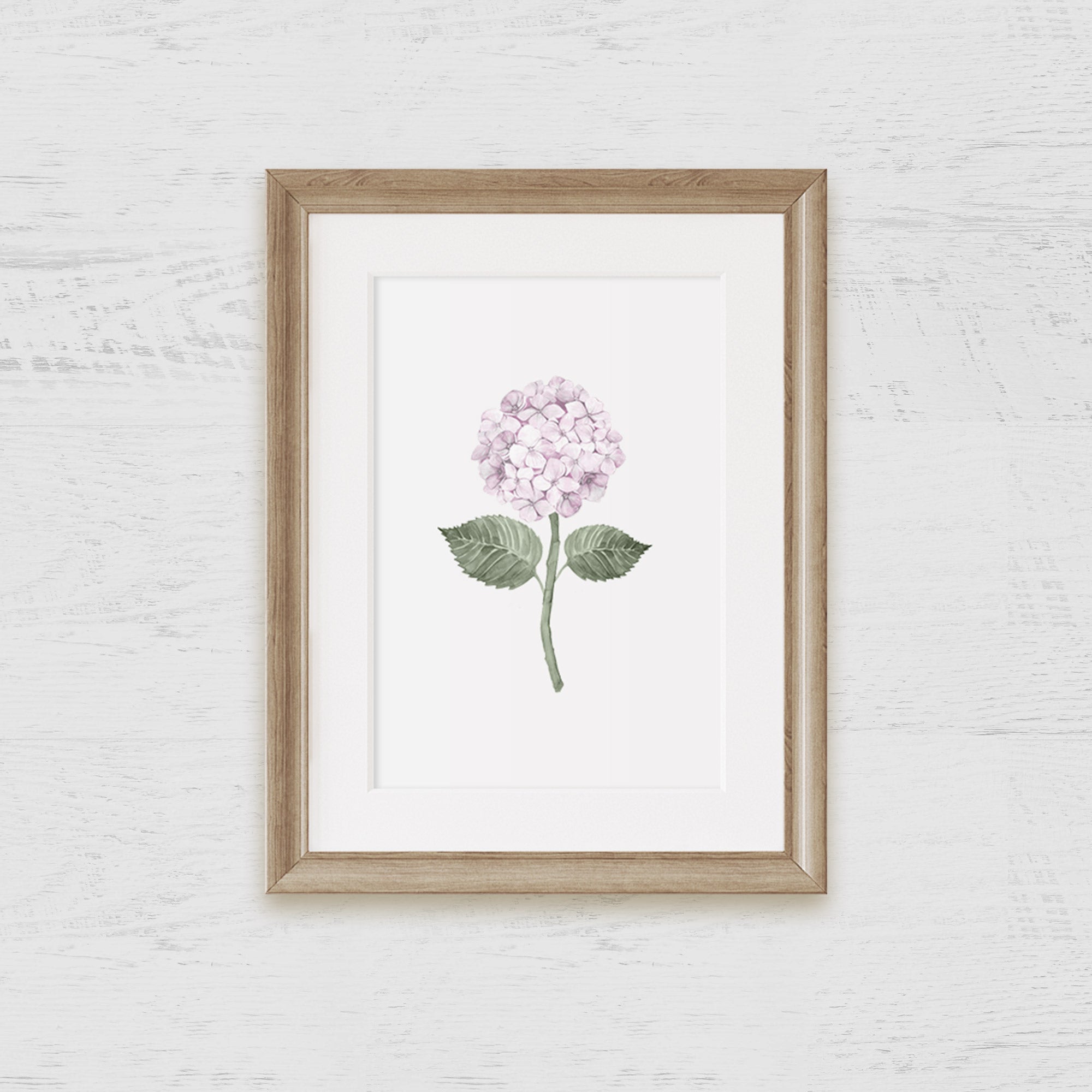 Pink Hydrangea Bloom Art Print - Hydrangea Lane Home