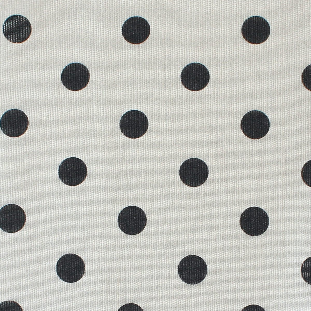 Spotty Day Fabric - Graphite - Hydrangea Lane Home