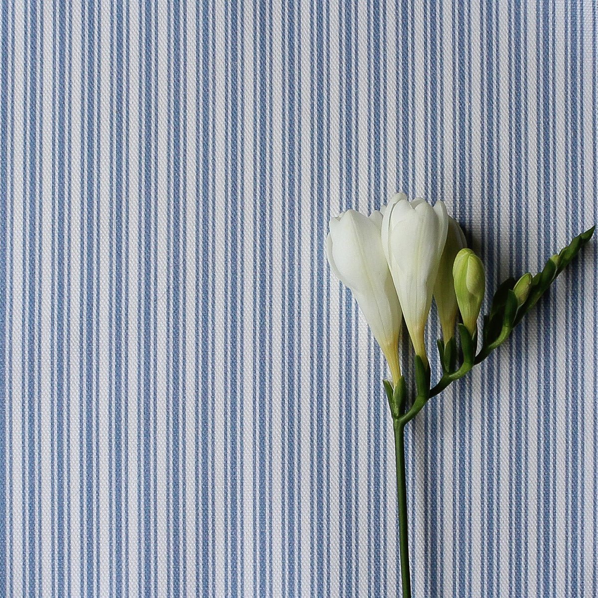 Ticking Stripe Fabric - Breeze - Hydrangea Lane Home