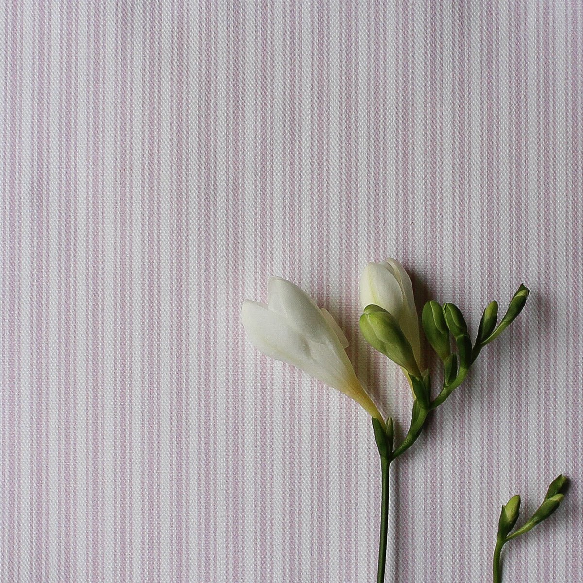 Ticking Stripe Fabric - Peony - Hydrangea Lane Home